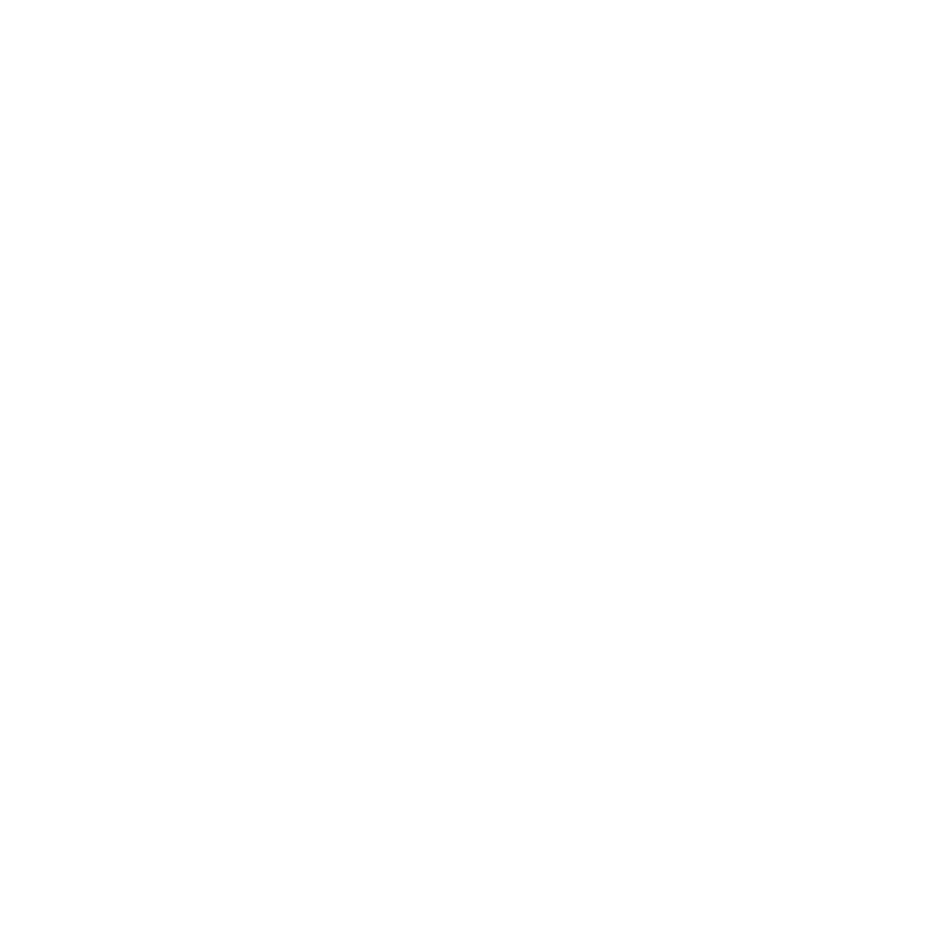 CJN Logo